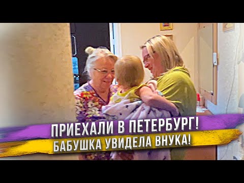 Видео: Крым - Петербург на авто с ребенком! Часть 3:   Встреча с бабушкой. Картины наших собак. Наш район.