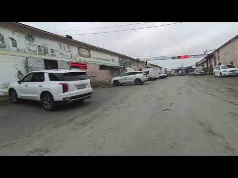 Видео: Привез семечки в Екатеринбург 