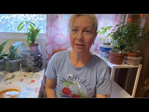 Видео: Переставили мебель. Порядок везде , а к нам с ремонтом 