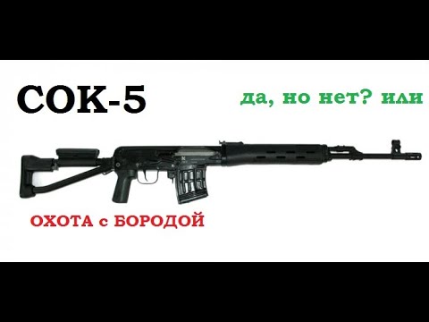 Видео: ОХОТА с БОРОДОЙ. Карабин Тигр. Хороший, но я не советую. часть 1