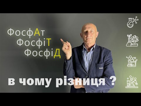 Видео: Роль фосфору у рослинах