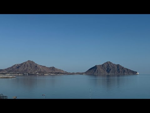 Видео: Наш уикенд в Сан-Фелипе — море, отливы и ракушки _ Weekend in San Felipe, 2025