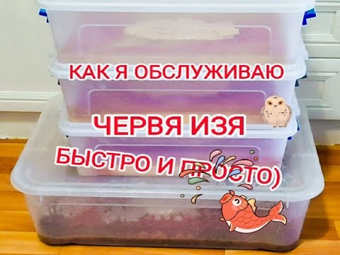 Видео: КАК Я ОБЛУЖИВАЮ ТРУБОЧНИК ИЗЯ? БЫСТРО И ПРОСТО)
