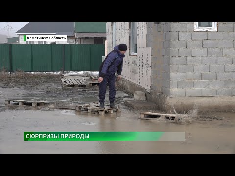 Видео: В Узынагаше из-за паводков подтоплены десятки домов и дворовых территорий