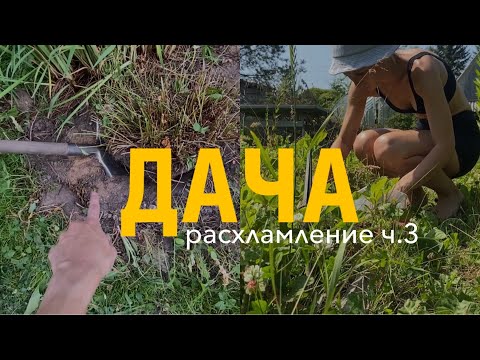 Видео: 3. копаю кусты, попала в ураган