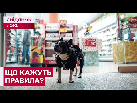 Видео: ВИГНАЛИ З МАГАЗИНУ ЧЕРЕЗ СОБАКУ? чи законно не пускати чотирилапих?
