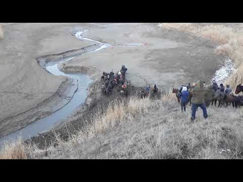 Видео: Мынбаев Енбекши Кокпар
