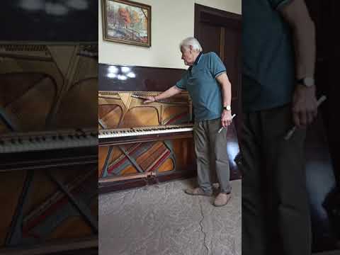 Видео: Устройство пианино, часть 1