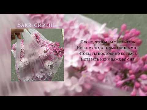 Видео: Bakr-сирень |speed up|