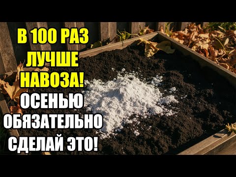 Видео: Что внести в почву в октябре, чтобы весной урожай был в 2 раза больше — лучше навоза и бесплатно!