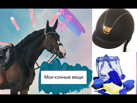 Видео: МОИ КОННЫЕ ВЕЩИ