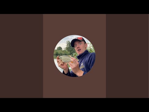 Видео: На щуку