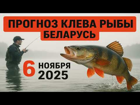 Видео: ПРОГНОЗ КЛЁВА в Беларуси на 6 ноября 2025 Бросай все и на рыбалку!