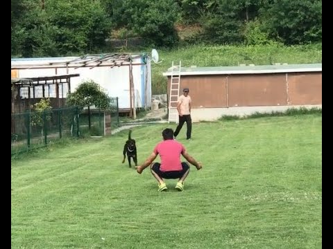 Видео: Эркан Мерич - Момент встречи с лучшим другом!