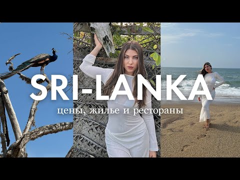 Видео: Шри-Ланка: ХАМБАНТОТА, сафари и Элла — все о ценах, покупки и советы туристам!