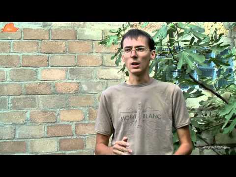 Видео: В. ПРУДНИКОВ. ПУТЕШЕСТВИЯ ПО ЮЖНОЙ АМЕРИКЕ