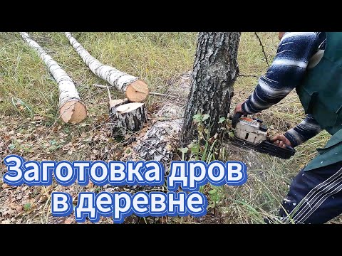 Видео: Заготовка дров в деревне. Жизнь в деревне. Готовь дрова летом 2 сезон