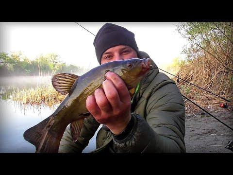 Видео: Клює вся Риба даже Лини !!! Рибалка на Дніпрі.