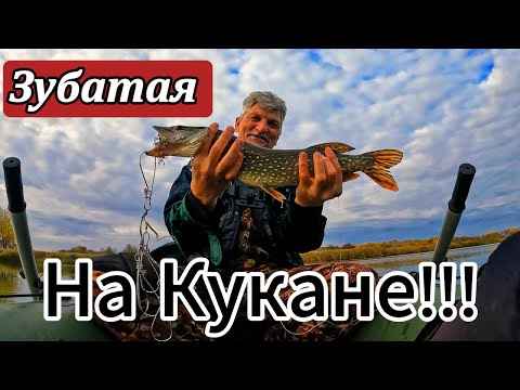 Видео: Всё решило одно мгновение — и щука на крючке!
