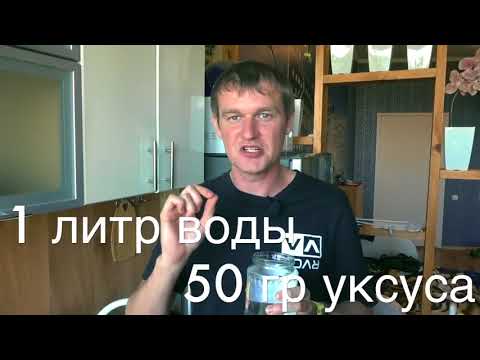Видео: РЕЦЕПТ ШАШЛЫКА по ДРЕВНЕЙШЕМУ РЕЦЕПТУ СССР   ТОЧНО НЕ ПОЖАЛЕЕШЬ
