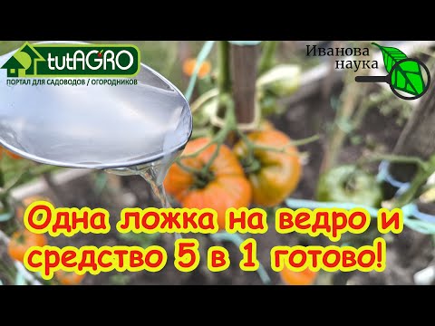 Видео: С ВЕСНЫ ДО ОСЕНИ УНИКАЛЬНОЕ СРЕДСТВО 5 в 1: эффективно даже против СЛИЗНЕЙ и есть в любом хозмаге.