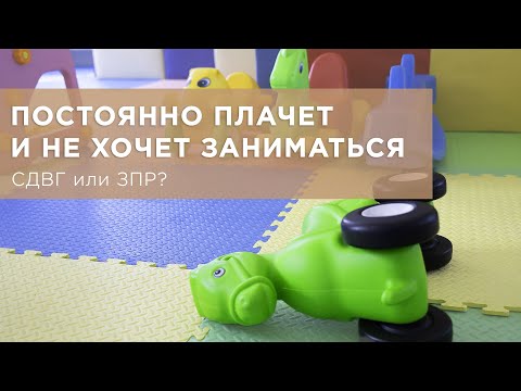 Видео: Навыки работы с ребенком с задержкой психического развития и другими особенностями