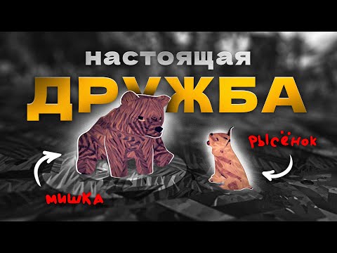Видео: ЭТА Игра Заставит Тебя ПЛАКАТЬ – Paws
