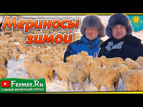 Видео: Ерагый Гишларкаев и Бауржан Оспанов. Будущее сельского хозяйства глазами тех, кто делает его сегодня