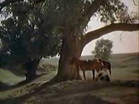 Видео: МИХАИЛ ГУЛЬКО. " СТЕПЬ, ПРОШИТАЯ ПУЛЯМИ..."  ( видеоклип)