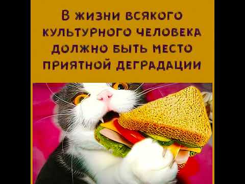 Видео: 😁НЕВЕРОЯТНО  СМЕШНЫЕ  ШУТКИ  ЮМОРА 🧠🧠🧠🧠 Перезапуск #010 Только для самых умных