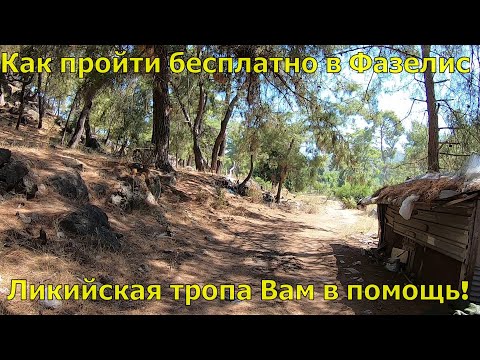 Видео: Ликийская тропа Текирова-Фазелис-как бесплатно попасть в руины Фазелиса и лучший пляж окрестностей
