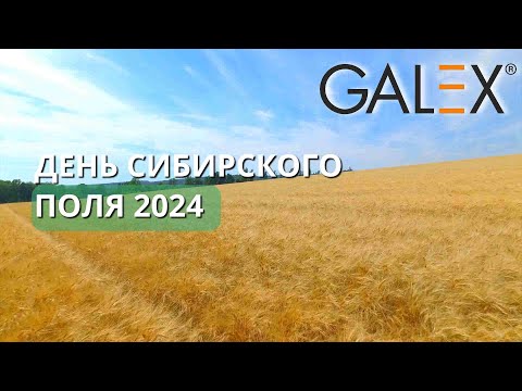 Видео: 2024 Галэкс и День сибирского поля