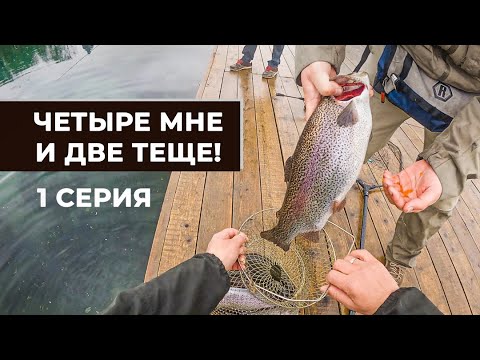 Видео: Ловля форели на платнике. Царская рыбалка в Кипене. Как ловить прудовую форель. 1 серия