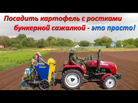 Видео: Вторая посадка картофеля 2022