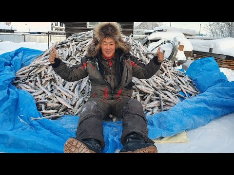 Видео: СБОР УЛОВА И ТАРИМ В МЕШКИ.