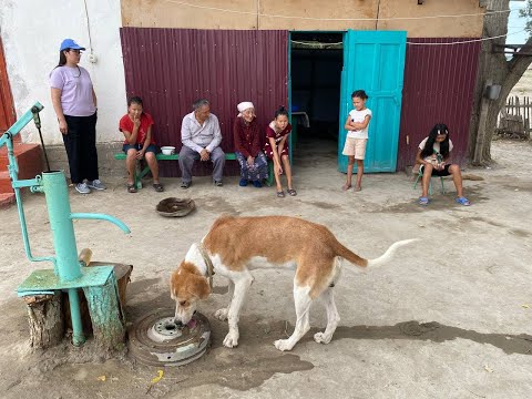 Видео: Балатопар. Река Топар обмелела. Часть 1