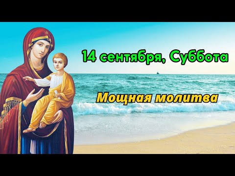 Видео: 14 сентября, Суббота