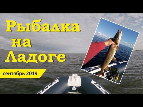 Видео: Рыбалка в Новой Ладоге. Креницы. Осенняя рыбалка в Ладожском озере.