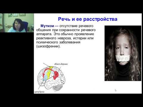 Видео: Усова Н.Н. Высшие корковые функции