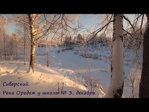 Видео: Сиверский, река Оредеж у школы № 3, декабрь...