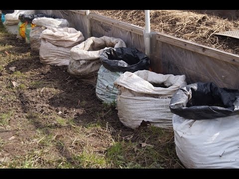 Видео: ОТЛИЧНЫЙ СПОСОБ ВЫРАЩИВАНИЯ В МЕШКАХ  ОГУРЦЫ, ТЫКВЫ, КАБАЧКИ ЧАСТЬ  1