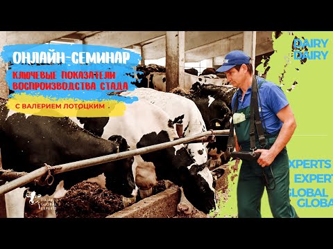 Видео: Ключевые показатели воспроизводства стада