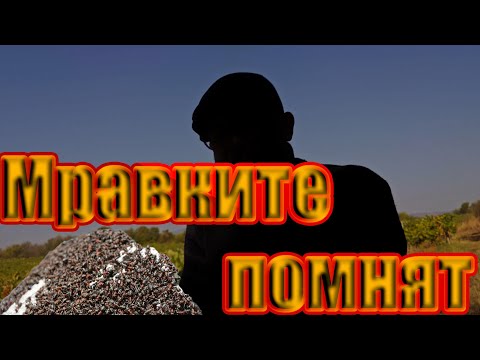 Видео: Една история за откритие от 25ти век