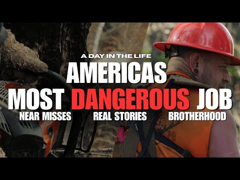 Видео: Самая опасная работа в Америке: лесозаготовка | Timber Faller