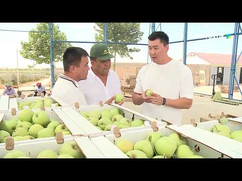 Видео: "ЕЛДЕН ХАБАР" /// КИЕЛІ ҚАЗЫҒҰРТ АУДАНЫ