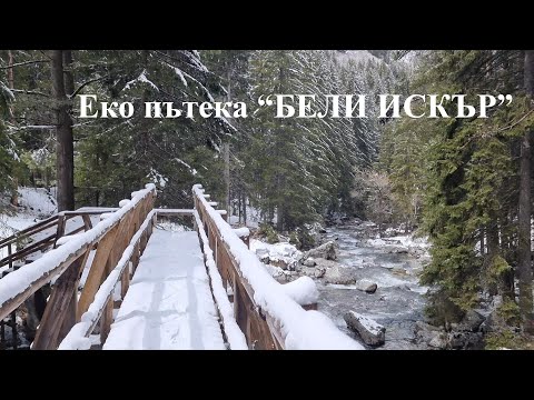 Видео: Еко пътека "Бели Искър"