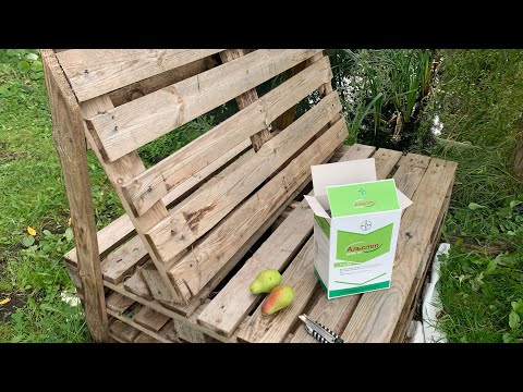 Видео: Лечение корней голубики .