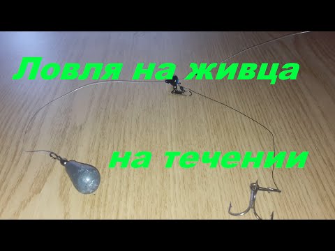 Видео: Уловистая оснастка для ловли на живца на течении. Ловля хищника. Рыбалка. Fishing.