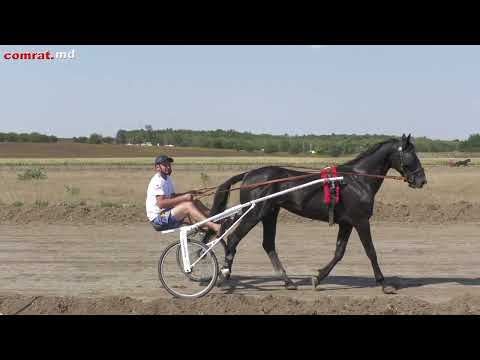 Видео: Конно-спортивные соревнования "Komur-at -2023"