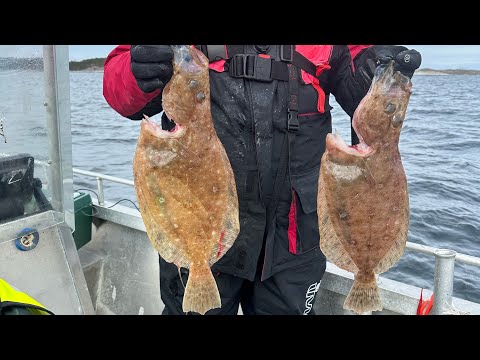 Видео: Рыбалка в Норвегии. Попали на косяк рыбы.  День десятый. Norwey Abelvaer  Апрель 2025